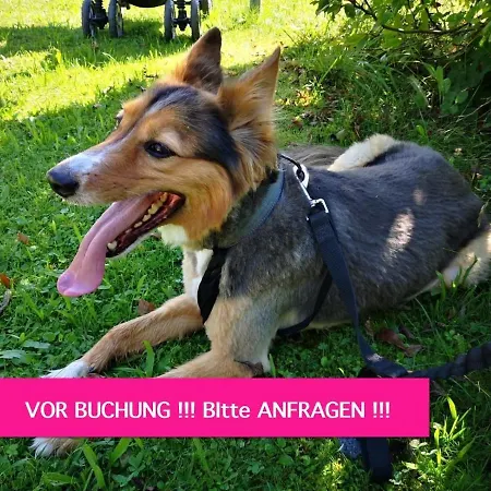 Einfache Monteurwohnung Mit Wlan Und Sat Tv, Netflix Апартаменты Frankweiler